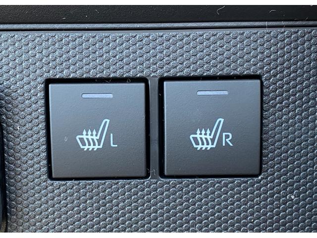 タフト G 届出済み未使用車 スマートアシスト オーディオレス ガラスルーフ LEDヘッドライト LEDフォグランプ オートライト 電動パーキングブレーキ ブレーキホールド アイドリングストップ 4WD(41枚目)