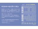 MITSUBISHI TOWN BOX
