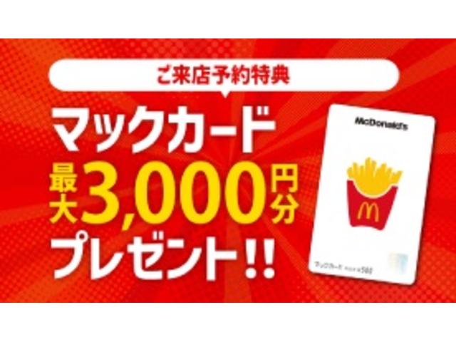 ミライース Ｘ　リミテッドＳＡＩＩＩ　衝突被害軽減ブレーキ　キーレスエントリー　ＬＥＤヘッドライト　オートライト　オートハイビーム　アイドリングストップ　スモークガラス　クリアランスソナー　車線逸脱防止　横滑り防止（46枚目）