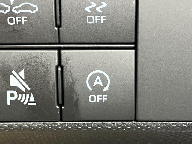 タフト Ｇ　届出済み未使用車　スマートアシスト　アダプティブクルーズコントロール　スマートキー　ＬＥＤヘッドライト　ＬＥＤフォグランプ　オートライト　ガラスルーフ　電動パーキングブレーキ　オーディオレス　４ＷＤ（32枚目）