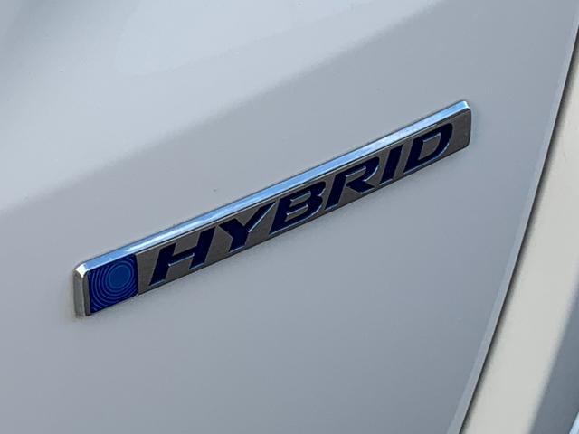 フリード＋ハイブリッド ハイブリッド・クロスター　社外ナビ・フルセグ・ＣＤ／ＤＶＤ・Ｂｌｕｅｔｏｏｔｈ接続・バックカメラ・両側電動スライドドア・社外ドライブレコーダー前後・純正フロアマット・ドアバイザー・オートＬＥＤライト・サイドカーテンエアバック（53枚目）