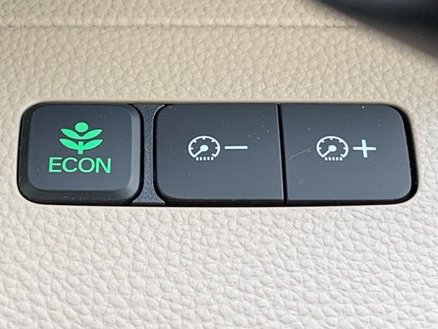 N-BOX G・Lホンダセンシング 純正ナビ・フルセグ・CD/DVD・Bluetooth接続・バックカメラ・左側電動スライドドア・純正エンジンスターター・純正フロアマット・オートLEDヘッドライト・ドアバイザー・アームレスト・ETC(23枚目)