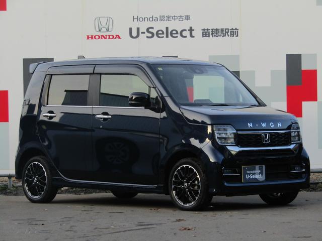 N-WGNカスタム L・ターボ 社外ナビ・フルセグ・USB接続・Bluetooth接続・バックカメラ・Bluetooth接続・純正エンジンスターター・純正フロアマット・サイドカーテンエアバック・オートLEDヘッドライト・ETC・(55枚目)