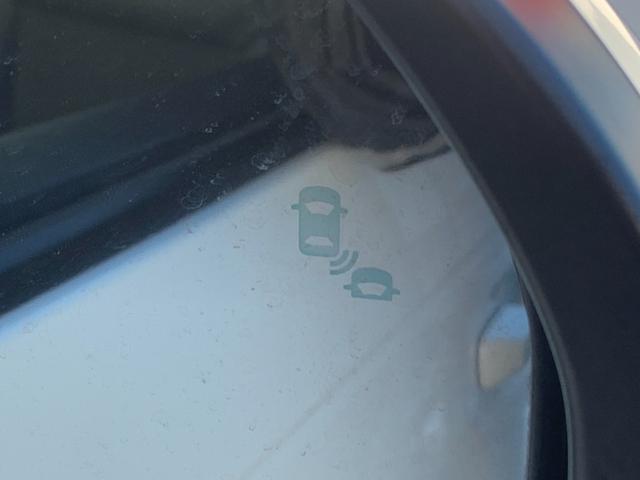 ���u���C���h�X�|�b�g�C���t�H���[�V���������s���A���Ԃ̎΂ߌ��ɑ��݂���N���}�����m�I�h�A�~���[���ʏ�Ƀ}�[�N��\�����āA���̑��݂����m�点���܂��I