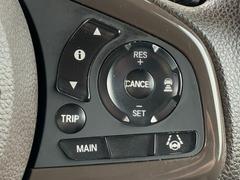 Ρݣףǣ ̥ۥ󥷥󥰡ʥӡե륻ãġģ֣ 0301126A30251026W001 5