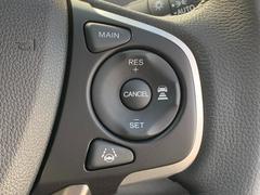 ե꡼ ǡۥ󥷥󥰡ʥӡե륻ã 0301126A30251109W002 5