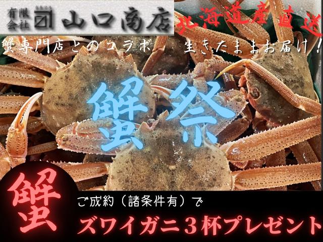 アルトラパン SS ローダウン・悪魔Zカラー(4枚目)