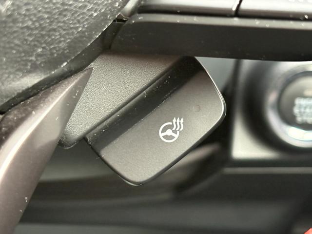 フォレスター Ｘ－ブレイク　４ＷＤ　ワンオーナー　ユーザー下取り車　ダイアトーンナビＴＶ　バックカメラ　ＥＴＣ　ドライブレコーダー　エンジンスターター　両側シートヒーター　パワーバックドア　パワーシート　ＬＥＤヘッドライト（33枚目）