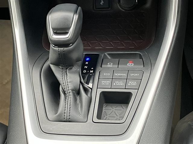 ���V�t�g����ł��I