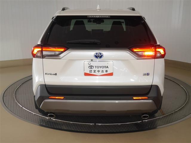 �����t�H�O�����v