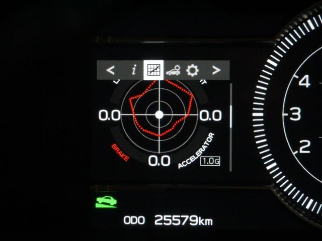 �}���`�C���t�H���[�V�����f�B�X�v���C�I