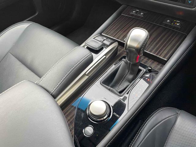 ＧＳ ＧＳ３５０　Ｉパッケージ　４ＷＤ　ドライブレコーダー　クリアランスソナー　レーンアシスト　オートクルーズコントロール　衝突被害軽減システム　バックカメラ　ナビ　ＴＶ　アルミホイール　オートマチックハイビーム　オートライト（9枚目）