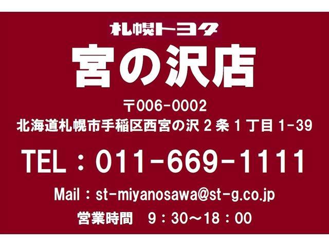 S メモリナビ バックカメラ オートクルーズコントロール ETC スマートキー 寒冷地仕様(41枚目)