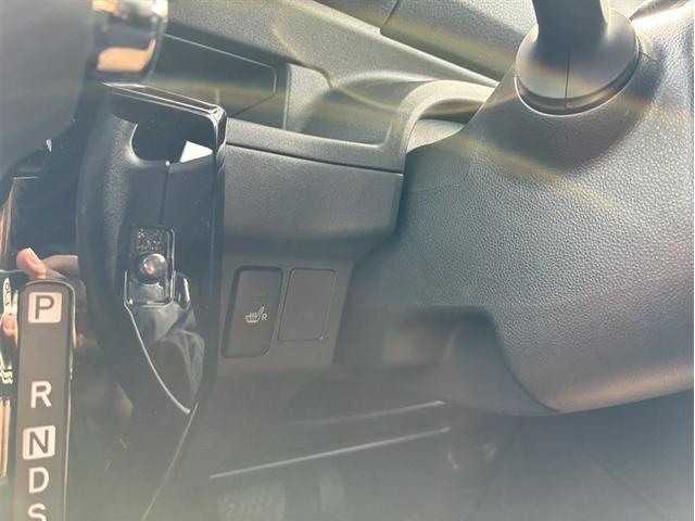 ピクシスメガ L SAIII(34枚目)