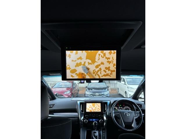 アルファードハイブリッド Ｓ　タイプゴールド（24枚目）