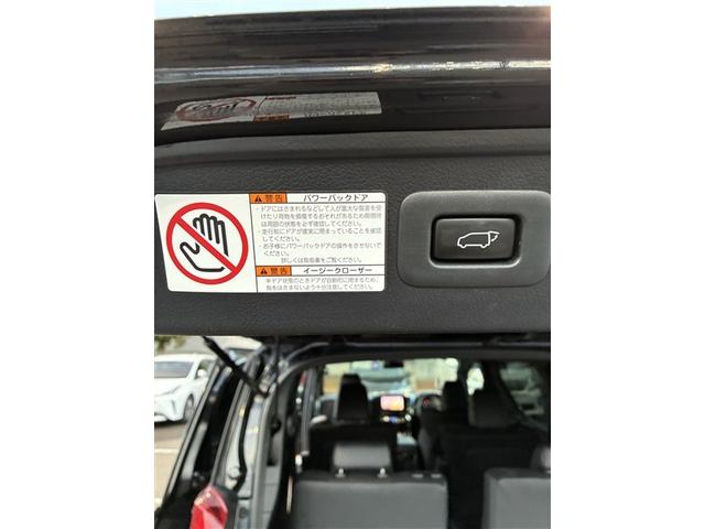 アルファードハイブリッド Ｓ　タイプゴールド（30枚目）