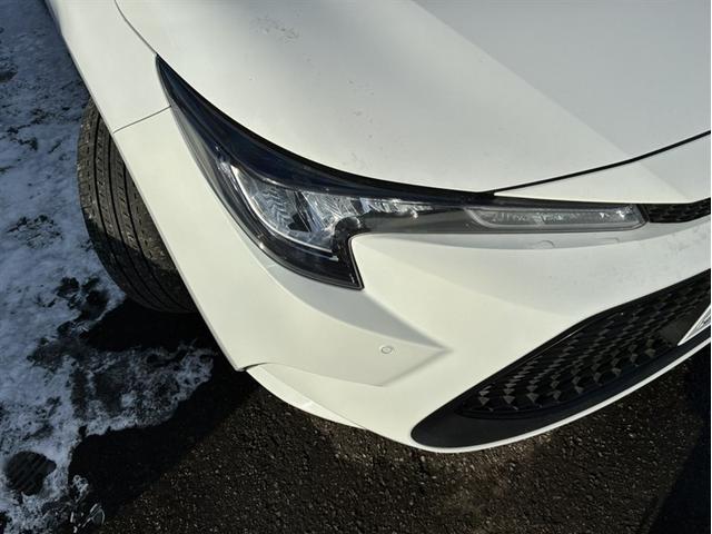 �t�����g