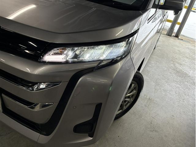 �t�����g