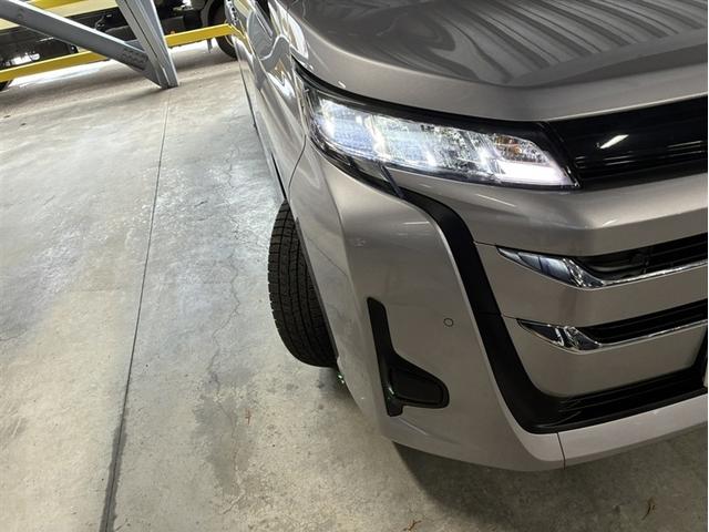 �t�����g