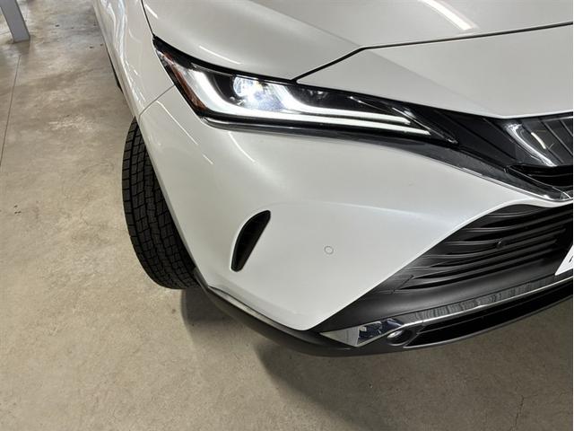 �t�����g