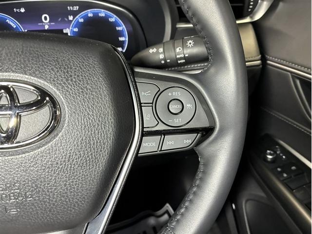 �X�e�A�����O