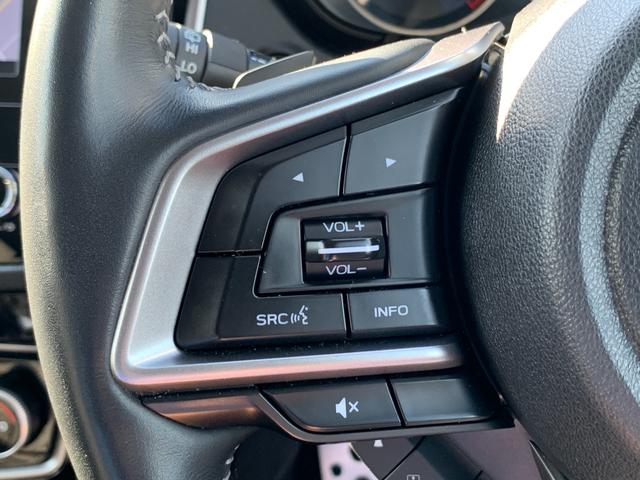 フォレスター Advance(20枚目)