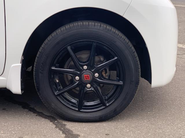 ステラ Ｌ（7枚目）