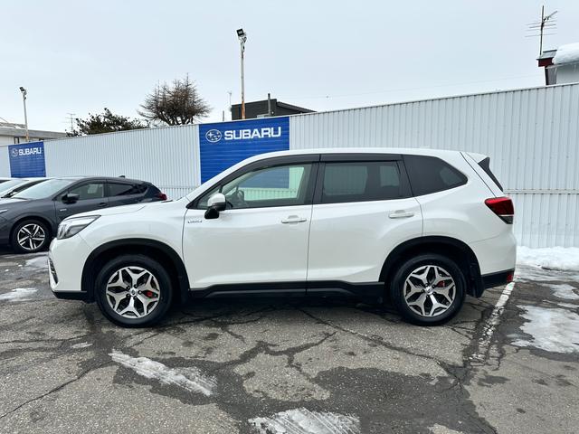 �������߂������ʂ�̍ۂ͐��񌩂ɂ��炵�Ă��������ˁy�эL�s���P���R�R���ڂP�X�@�q�Q�R�U���������@�傫�Ȃr�t�a�`�q�t�̊Ŕ��ڈ�z����