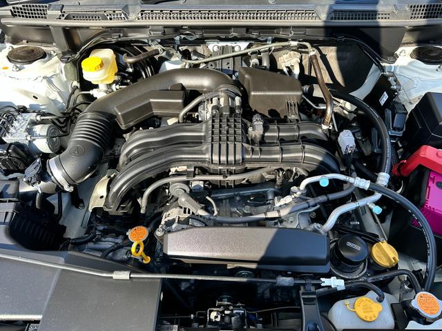 �����X�o���ł͂Ƃ��Ă������ȁu�_���p�b�N�v�����p�ӂ��Ă���܂��I����Ԍ��܂ł̂P�Q�����_����Z�[�t�e�B�`�F�b�N�������ȃp�b�P�[�W���i�ł��񋟁I�ڂ����͕��ВS���X�^�b�t�܂ł��q�˂��������I����