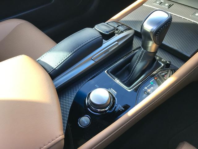 GS GS350 Fスポーツ サンルーフ 純正ナビ(マークレビンソン) 社外20インチアルミ クルーズコントロール レザーシート シートヒーター シートエアコン BT対応 ETC リアカメラ LEDヘッドライト リアサンシェード(47枚目)