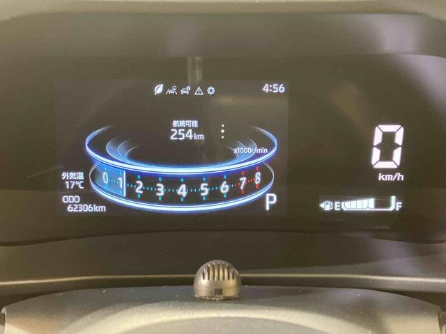 ロッキー Ｇ（8枚目）