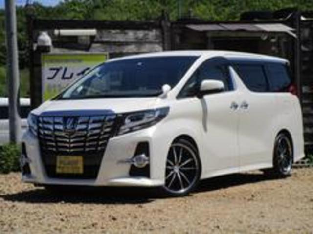 アルファード 　２．５Ｓ　Ａパッケージ　４ＷＤ　７人乗り　車高調　２０ＡＷ　両側パワスラ　大型ナビＴＶ　フリップダウンモニター　バックカメラ　レザー調シートカバー（33枚目）