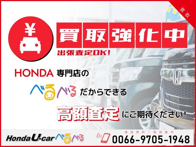 F HondaSENSING ナビカメラ(24枚目)