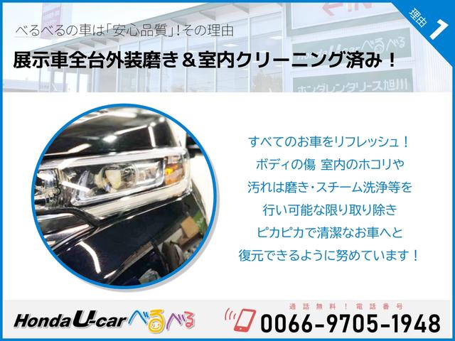 F HondaSENSING ナビカメラ(25枚目)