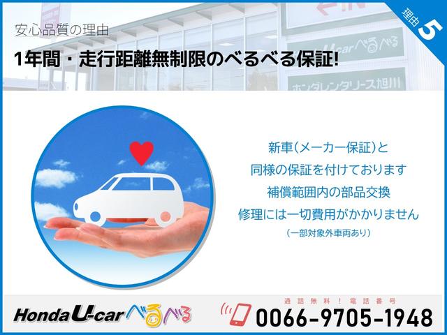 F HondaSENSING ナビカメラ(29枚目)