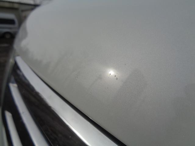 �{���l�b�g�t�[�h���^�b�`�y����C�Ղ���܂�