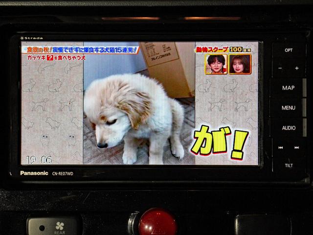 デリカＤ：５ Ｄ　パワーパッケージ　本州仕入　ディーゼルターボ　フロントスキットバー　チッピンググリル　寒冷地仕様　両側電動スライドドア　前席シートヒーター　バックカメラ　フルセグナビ　前後ドラレコ　スマートキー　オープンカントリー（57枚目）