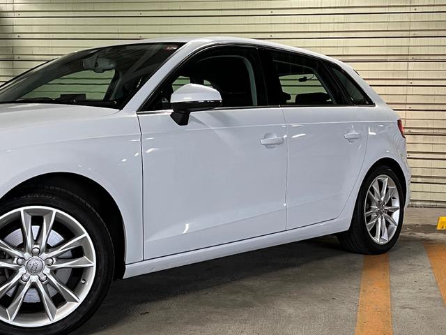 �{�f�B�\�ʂ��S�����Ȃ��G��ƃc���c���ł��B