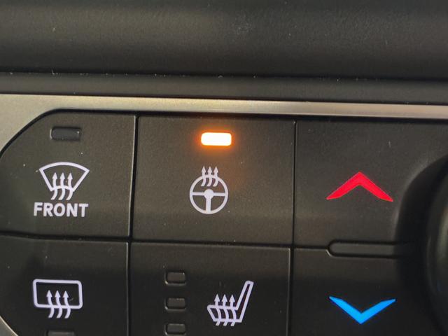 ジープ・ラングラーアンリミテッド サハラ　ドラレコ付きデジタルミラー／ＡｐｐｌｅＣａｒＰｌａｙ／アルパイン／純正１８インチＡＷ／黒革／シートヒーター／オートハイビーム／追従クルコン／サイドステップ／ＬＥＤヘッドライト／純正ナビ＆ＴＶ（37枚目）