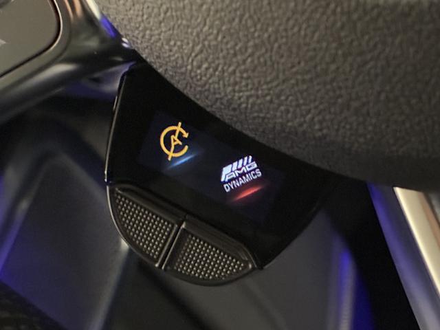 Gクラス G63 BURABUS/VOSSEN23インチ鍛造AW/G.manufakturプログラムプラスP/AMGカーボンインテリア/AMGナイトP/G.manufakturインテリアプラスP/プロテクションフィルム(68枚目)