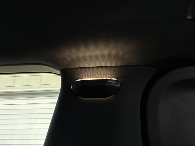 �s���[���C�g�i�_�C�������h�J�b�g�j