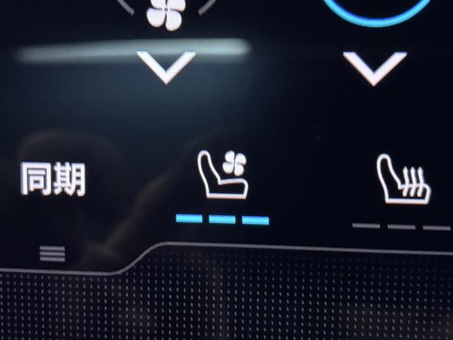 タイカン タイカン　ターボ　ＳｐｏｒｔＤｅｓｉｇｎフロントエプロン＆サイドスカート／固定式パノラマルーフ／ＯＰ２１インチＡＷ／スポクロ／エクステリアミラー／サイドウインドウトリム（ハイグロスブラック）シートベンチレーション（68枚目）