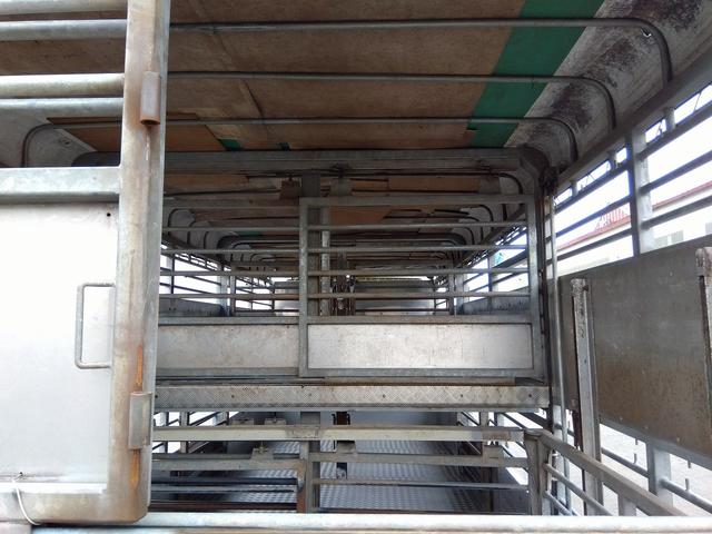 ヒノレンジャー 家畜運搬車 BDG-FG8JPWA(12枚目)