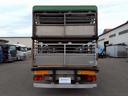 ヒノレンジャー 家畜運搬車 BDG-FG8JPWA(5枚目)