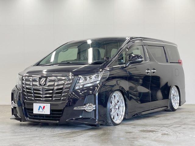 アルファード 2.5S Cパッケージ 4WD 両側電動ドア 後席モニター バックカメラ 寒冷地仕様 電動リアゲート ハーフレザーシート コーナーセンサー スマートキー LEDヘッド ビルトインETC クルコン オートライト(21枚目)