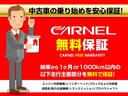 Ｇ　本州仕入　ＥＴＣ　バックカメラ　クルーズコントロール　社外１５インチアルミホイール　タイミングチェーン　純正ナビ　ヘッドライトレベライザー４段階　ＥＣＯＮモード　ドライブレコーダー　電動格納ドアミラー(33枚目)