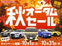 　４ＷＤ　本州仕入　走行距離４万キロ以下　電動格納ドアミラー　ルーフスポイラー　フロアマット　プライバシーガラス　ドアバイザー　取扱い説明書付き　タイミングチェーン　パワーウィンドウ　パワーステアリング(5枚目)