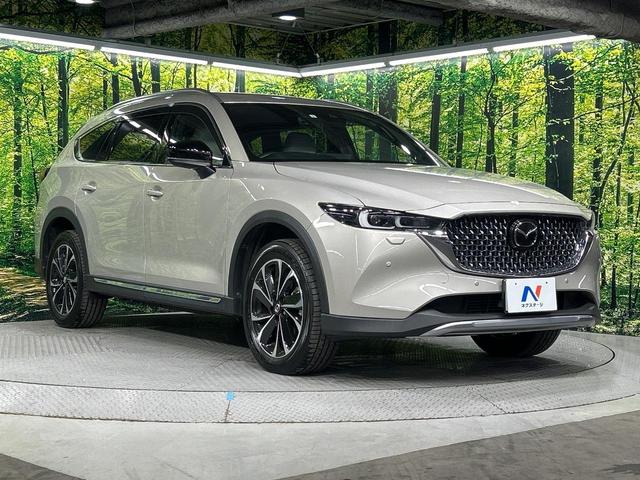 ＣＸ－８ ＸＤ　グランドジャーニー　４ＷＤ　ターボ　サンルーフ　マツダコネクトナビ　全周囲カメラ　ＢＯＳＥサウンド　衝突被害軽減システム　レーダークルーズ　前席中席シートヒータ―　電動リアゲート　ハーフレザーシート　ステアリングヒーター（19枚目）