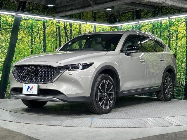 ＣＸ－８ ＸＤ　グランドジャーニー　４ＷＤ　ターボ　サンルーフ　マツダコネクトナビ　全周囲カメラ　ＢＯＳＥサウンド　衝突被害軽減システム　レーダークルーズ　前席中席シートヒータ―　電動リアゲート　ハーフレザーシート　ステアリングヒーター（72枚目）