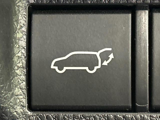 ＲＡＶ４ ハイブリッドＧ　４ＷＤ　純正９型ナビ　バックカメラ　寒冷地仕様　セーフティセンス　レーダークルーズ　電動リアゲート　シートヒーター　メモリー機能付きパワーシート　ステアリングヒーター　ドラレコ　コーナーセンサー（10枚目）